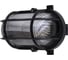 Светильник TDM ELECTRIC НБП 02-60-004.03У Евро черный SQ0312-0002 1
