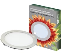 Панель светодиодная TDM ELECTRIC Даунлайт СВО хром 12 Вт SQ0329-0014