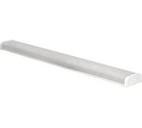 Люминесцентный светильник TDM ELECTRIC ЛПО 12-1х36-112 SQ0327-0114