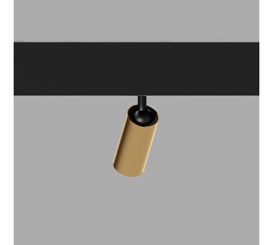 Трековый светильник Elektrostandard Slim Magnetic 5W 4200K Cantors (латунь) a062798