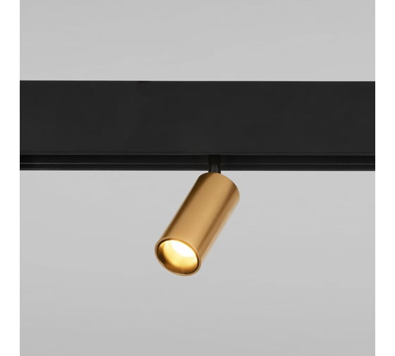 Трековый светильник Elektrostandard Slim Magnetic 5W 4200K Cantors (латунь) a062798