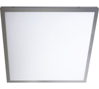 Панель светодиодная 595х595 хром TDM SQ0329-0029