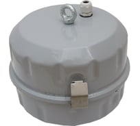 Светильник влагозащищенный TDM ELECTRIC РСП 99-250-300 Бокс SQ0334-0211