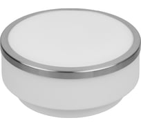 Потолочный светильник TDM ELECTRIC СП 03 SQ0346-0003