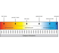 Вандалоустойчивый люминесцентный светильник TDM ЛПБ 31-11-006 SQ0353-0005