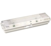 Вандалоустойчивый люминесцентный светильник TDM ELECTRIC ЛПБ 96-11-007 SQ0353-0002