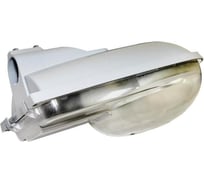 Светильник TDM ГКУ/ЖКУ 89-100-112 SQ0318-0302