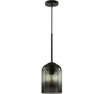 Подвес LUMION E27 1*60W BORIS 5281_1