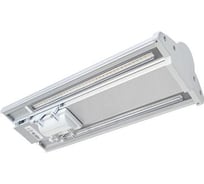 Уличный светильник TDM ELECTRIC СКУ-40 SQ0345-0003