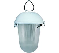 Светодиодный светильник TDM LED ДСП 02-18-001 18Вт IP52 SQ0329-0065