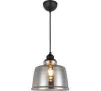 Декоративный светильник на подвесе HOROZ ELECTRIC SHARP Титановый E27 1M СТЕКЛО 021-019-0001 HRZ33003035