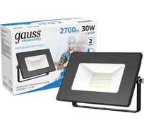 Прожектор Gauss Elementary 30W 2700Лм 6500К 200-240V IP65 черный LED 1/10 SQ 613100330 15500880