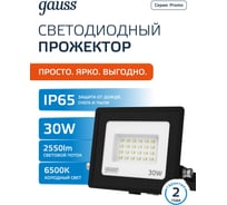 Светодиодный прожектор Gauss Elementary 30W 2700lm IP65 6500К черный 613100330