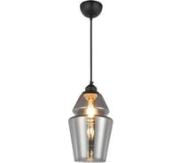 Декоративный светильник на подвесе HOROZ ELECTRIC SPARK-1 Титановый E27 1M СТЕКЛО 021-016-0001 HRZ33003025