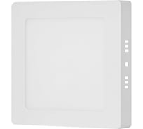 Светодиодная осветительная панель Lucem LM-SLPS- 12W FLSLPS120065L