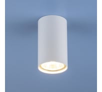 Точечный свет Elektrostandard 1081 GU10 WH белый 5255 под LED лампу a045436