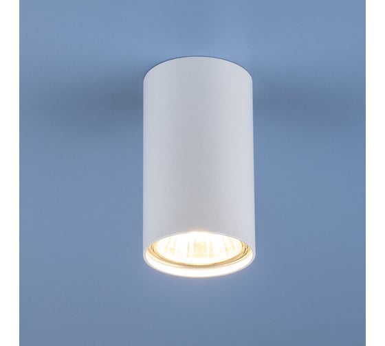 Точечный свет Elektrostandard 1081 GU10 WH белый 5255 под LED лампу a045436