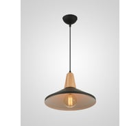 Подвесной светильник Мелодия Света PS3761-1 BK 000060184