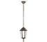 Подвесной светильник Ambrella Light GARDEN ST2031 1