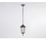 Подвесной светильник Ambrella Light GARDEN ST2031 2