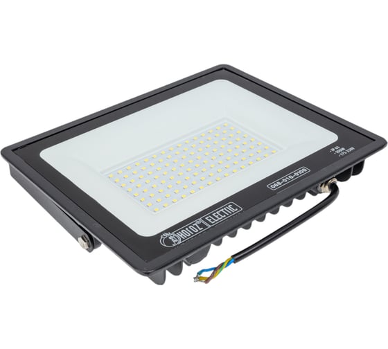 Светодиодный прожектор HOROZ ELECTRIC ASLAN-100 068-010-0100 100W Черный 6400K 175-250V HRZ00002788
