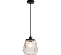 Подвес ODEON LIGHT Capra E27 40W 4996_1