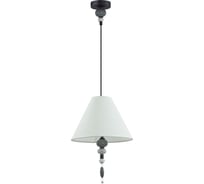 Подвес ODEON LIGHT E27 60W Sochi 4896_1