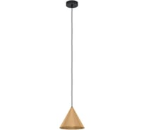 Подвесной светильник EGLO NARICES 99591