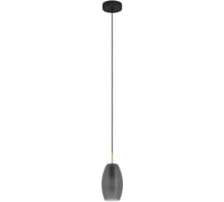 Спот EGLO CARDILLIO 2 900516