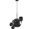 Подвесной светильник LOFT IT Bolle 2029-P6 1