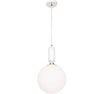 Подвесной светильник LOFT IT Parachilna 9975-C