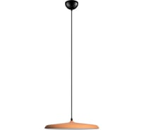 Подвесной светильник LOFT IT Plato 10119 Orange