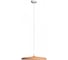 Подвесной светильник LOFT IT Plato 10119 Orange 6