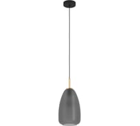 Спот EGLO CARDILLIO 2 900515