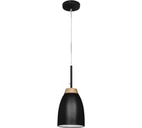 Подвесной светильник LOFT IT Watchman LOFT4402A-BL
