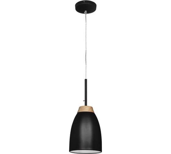 Подвесной светильник LOFT IT Watchman LOFT4402A-BL 1
