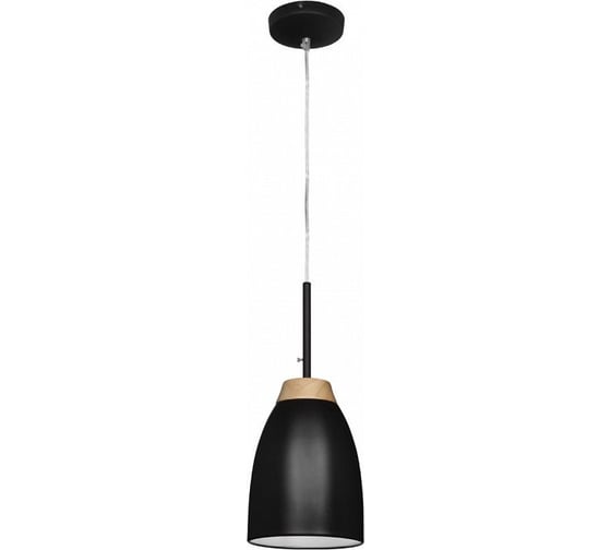 Подвесной светильник LOFT IT Watchman LOFT4402A-BL
