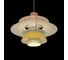 Подвесной светильник LOFT IT Floret 10113 Orange 3