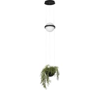 Подвесной светильник LOFT IT Jardin 10121/B