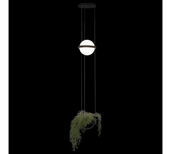 Подвесной светильник LOFT IT Jardin 10121/B