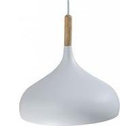 Подвесной светильник Moderli Eline V1290-1P