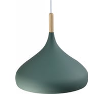 Подвесной светильник Moderli Eline V1306-1P