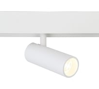 Светильник на штанге Ambrella Light TRACK SYSTEM GL3819