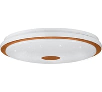 Накладной светильник LANCIANO 1 EGLO 900599