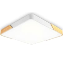 Накладной светильник Ambrella Light ORBITAL FZ1312