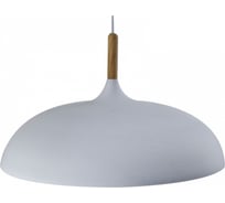 Подвесной светильник Moderli Hygo V1330-P