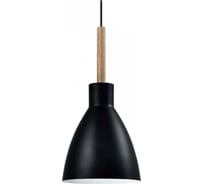 Подвесной светильник Moderli Toni V1281-1P