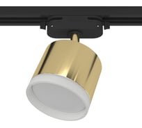 Трековый поворотный светильник RITTER Artline цилиндр 85x70mm GX53 230В алюминий/пластик золото 59864 4