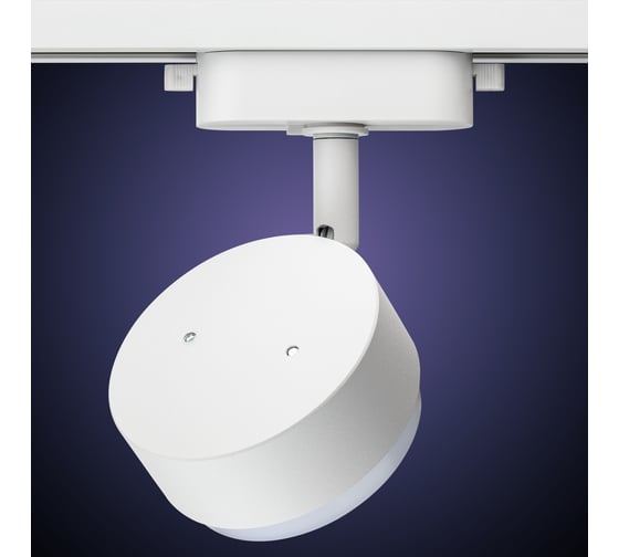 Трековый светильник RITTER Artline поворотный шар 82x30mm GX53 230В алюминий 4м2 белый 59923 8