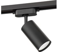 Трековый поворотный светильник RITTER Artline цилиндр 55x100mm GU10 230В алюминий черный 4м2 59876 7